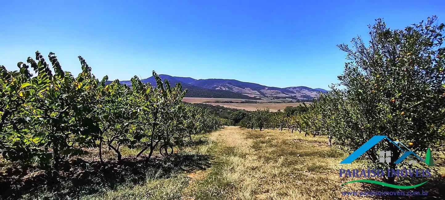 Chácara à venda, 44m2 em Centro, Paraisopolis - MG - imagem 49 Foto 49 de Chácara à venda, 44m2 em Centro, Paraisopolis - MG