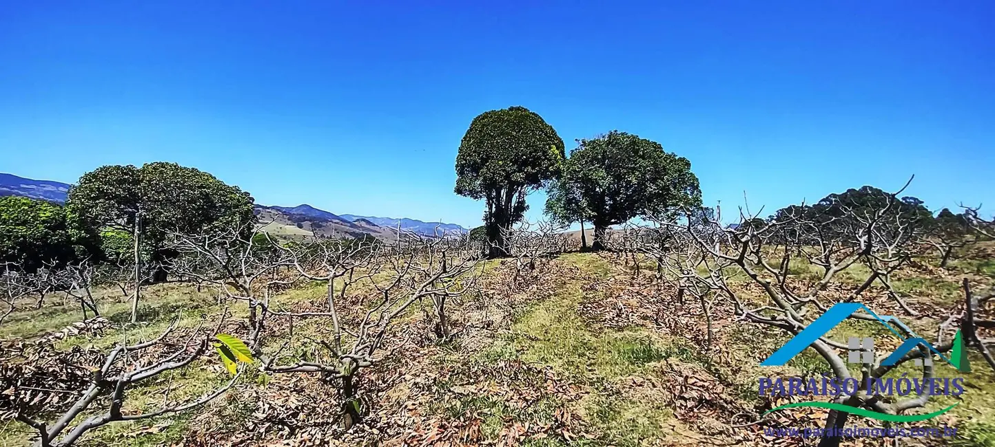 Chácara à venda, 44m2 em Centro, Paraisopolis - MG - imagem 40 Foto 40 de Chácara à venda, 44m2 em Centro, Paraisopolis - MG