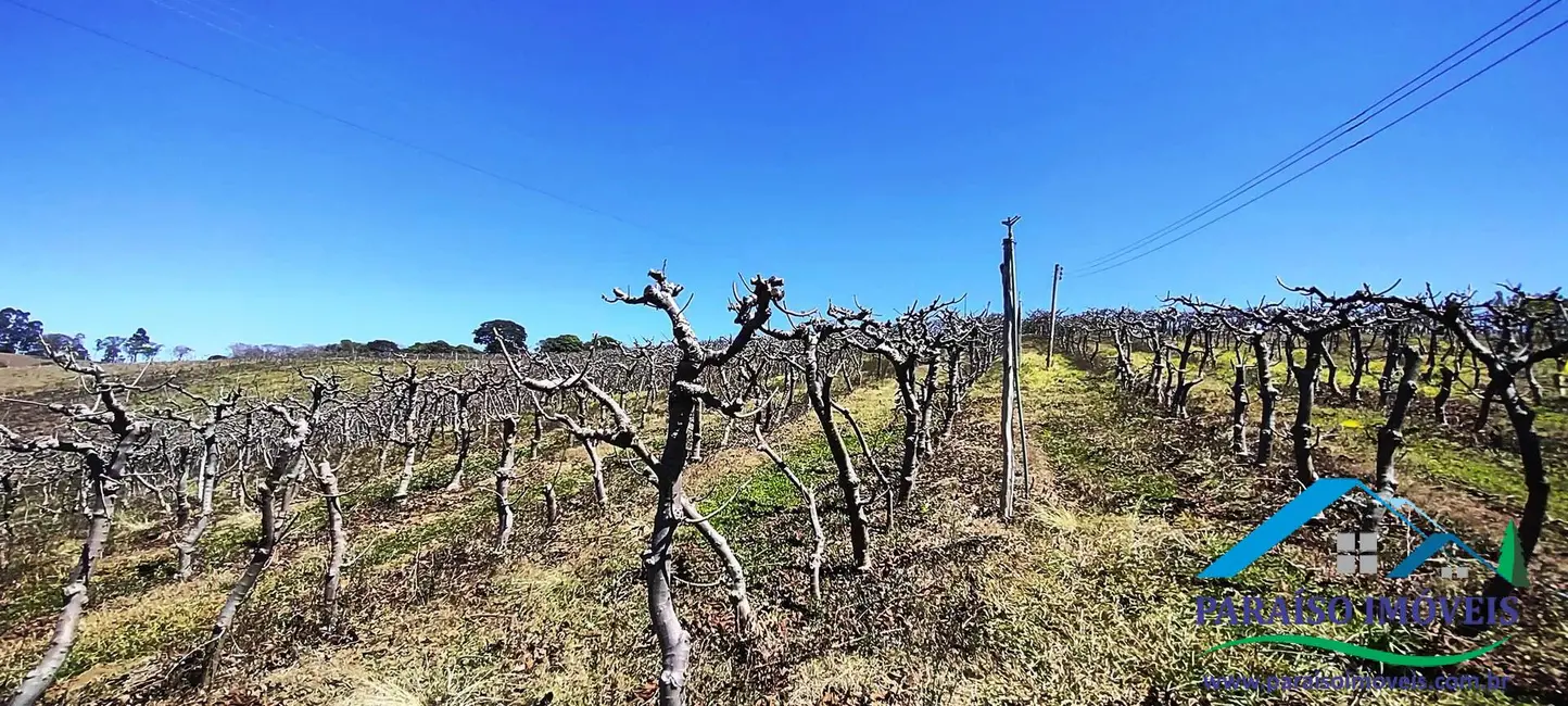 Chácara à venda, 44m2 em Centro, Paraisopolis - MG - imagem 33 Foto 33 de Chácara à venda, 44m2 em Centro, Paraisopolis - MG
