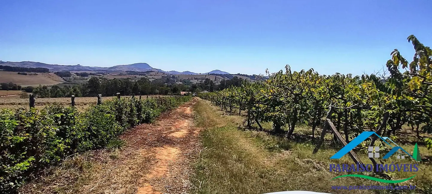 Chácara à venda, 44m2 em Centro, Paraisopolis - MG - imagem 47 Foto 47 de Chácara à venda, 44m2 em Centro, Paraisopolis - MG