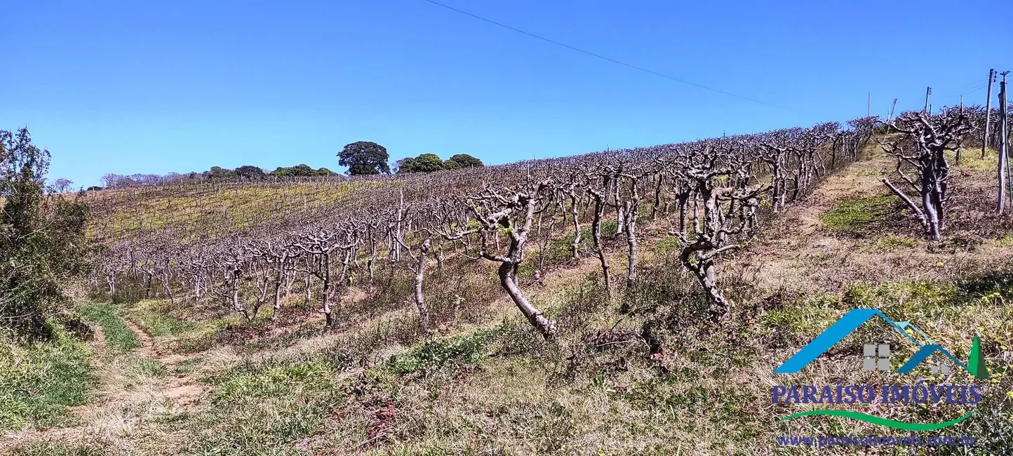 Chácara à venda, 44m2 em Centro, Paraisopolis - MG - imagem 9 Foto 9 de Chácara à venda, 44m2 em Centro, Paraisopolis - MG