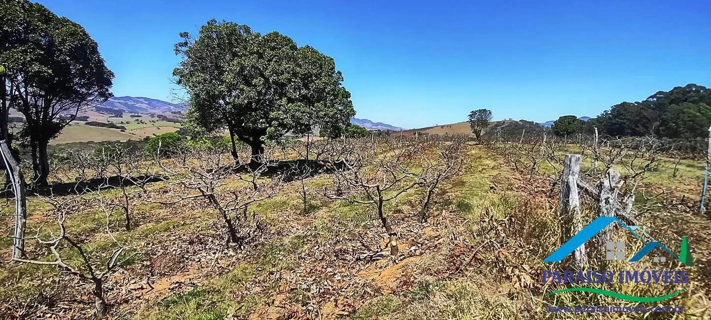 Chácara à venda, 44m2 em Centro, Paraisopolis - MG - imagem 41 Foto 41 de Chácara à venda, 44m2 em Centro, Paraisopolis - MG