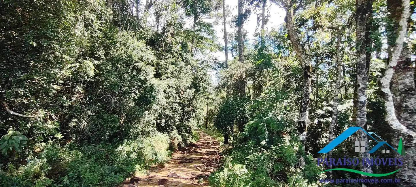 Chácara à venda, 20000m2 em Centro, Paraisopolis - MG - imagem 36 Foto 36 de Chácara à venda, 20000m2 em Centro, Paraisopolis - MG