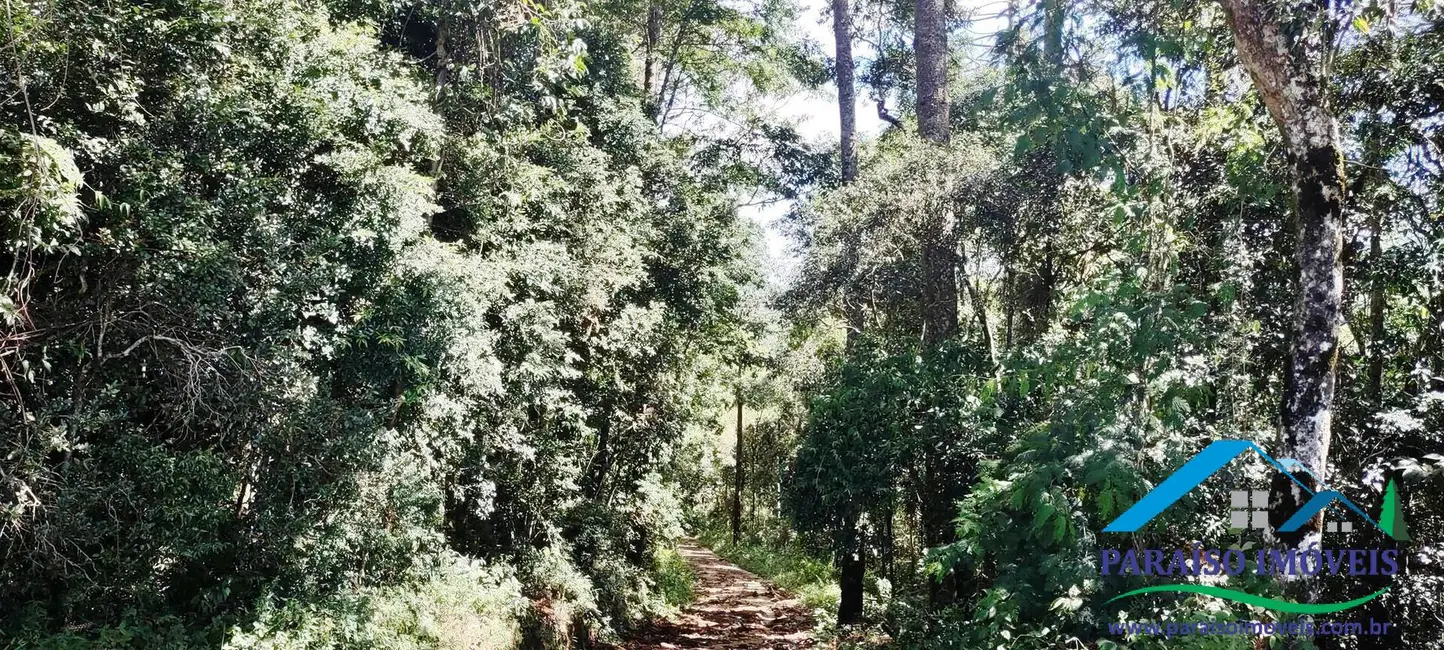 Chácara à venda, 20000m2 em Centro, Paraisopolis - MG - imagem 37 Foto 37 de Chácara à venda, 20000m2 em Centro, Paraisopolis - MG