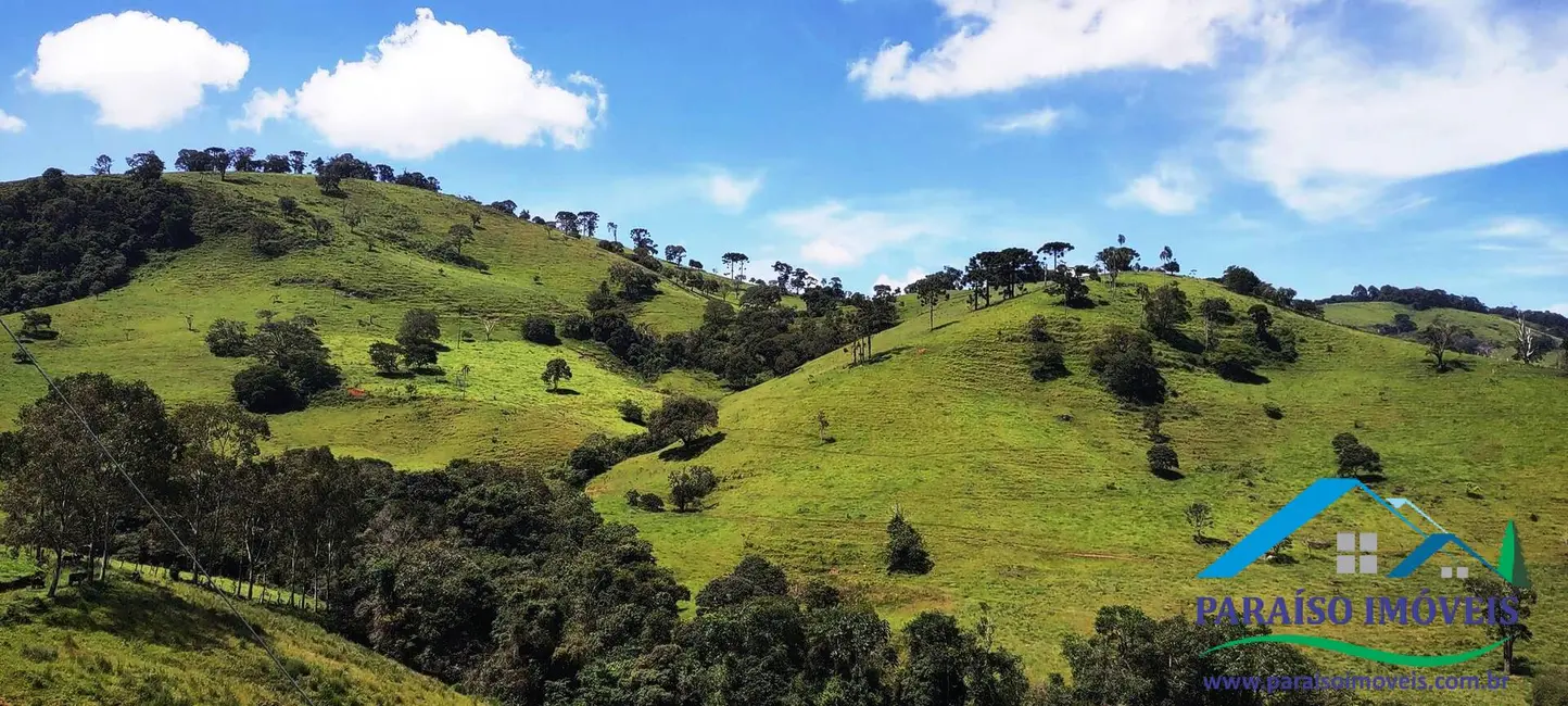 Chácara à venda, 24m2 em Centro, Paraisopolis - MG - imagem 9 Foto 9 de Chácara à venda, 24m2 em Centro, Paraisopolis - MG