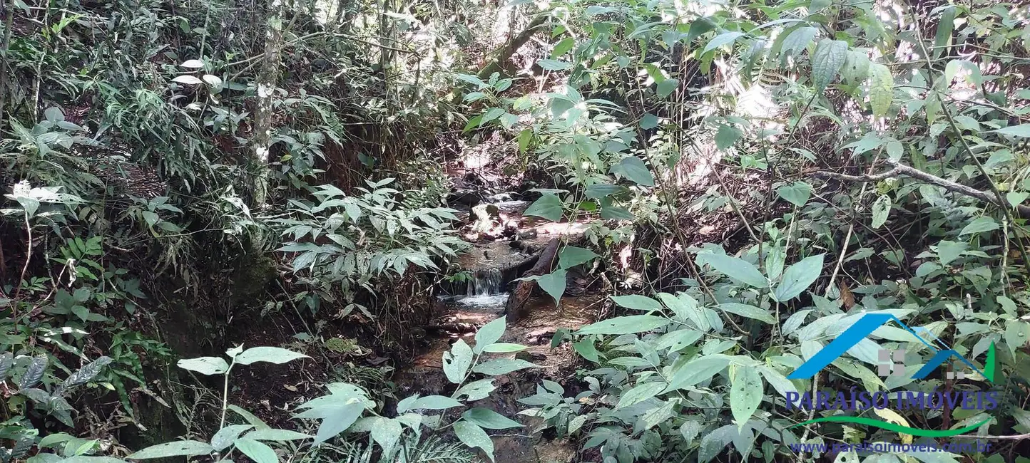 Chácara à venda, 24m2 em Centro, Paraisopolis - MG - imagem 45 Foto 45 de Chácara à venda, 24m2 em Centro, Paraisopolis - MG