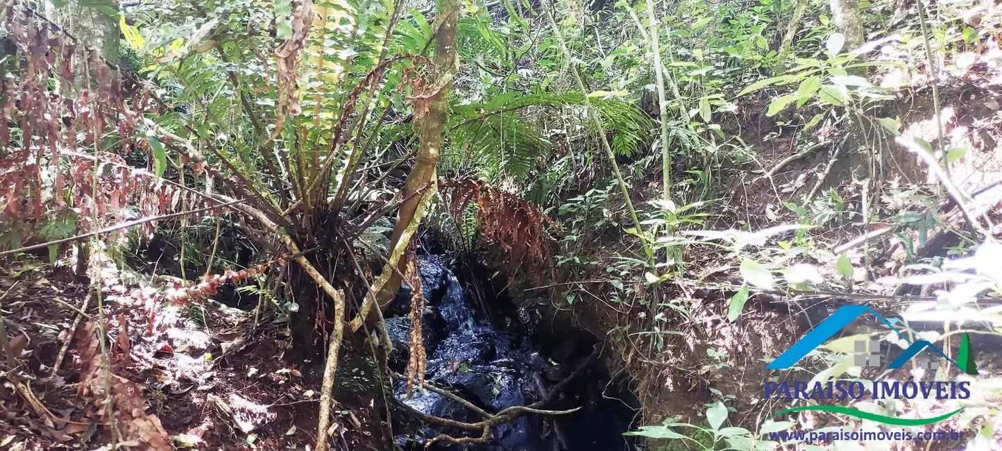 Chácara à venda, 24m2 em Centro, Paraisopolis - MG - imagem 48 Foto 48 de Chácara à venda, 24m2 em Centro, Paraisopolis - MG