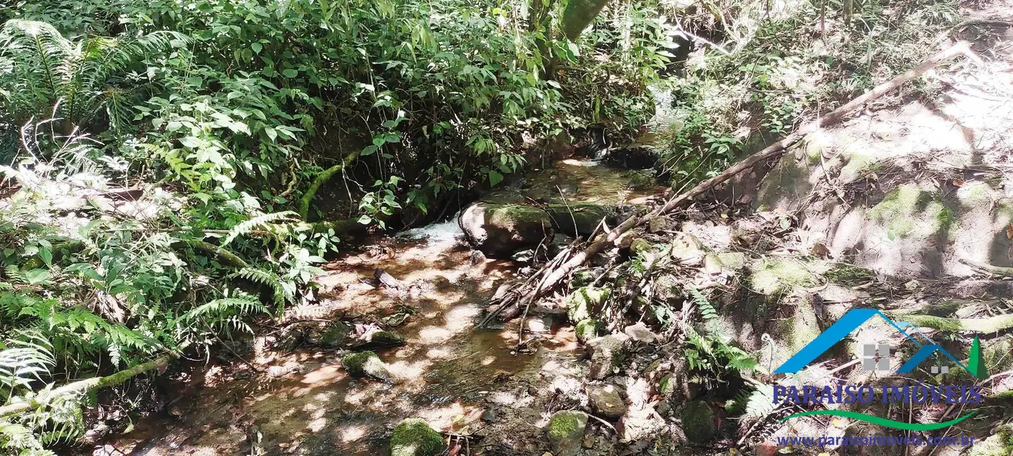 Chácara à venda, 24m2 em Centro, Paraisopolis - MG - imagem 47 Foto 47 de Chácara à venda, 24m2 em Centro, Paraisopolis - MG