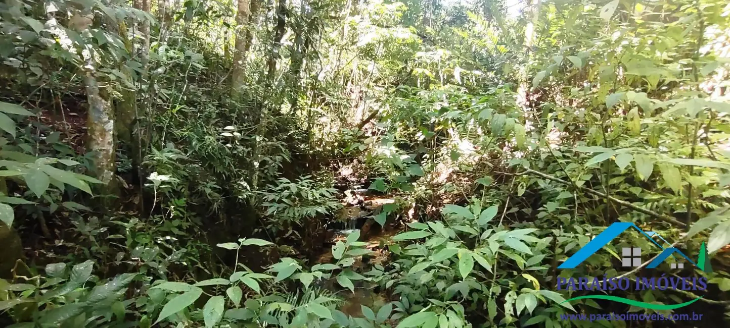 Chácara à venda, 24m2 em Centro, Paraisopolis - MG - imagem 46 Foto 46 de Chácara à venda, 24m2 em Centro, Paraisopolis - MG