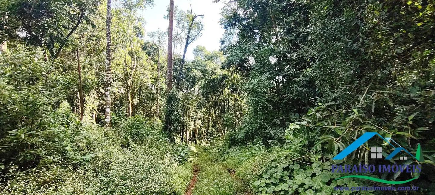 Foto 30 de Chácara à venda, 81512m2 em Centro, Goncalves - MG