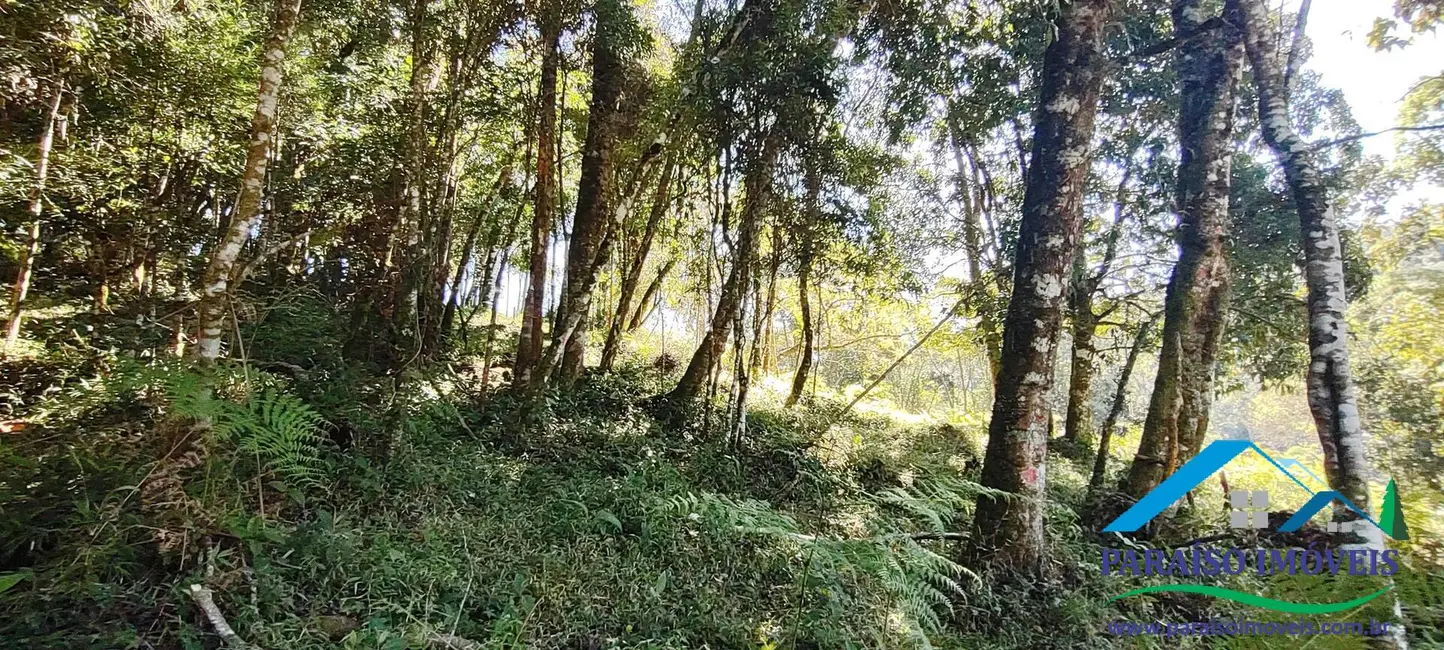 Foto 41 de Chácara à venda, 100000m2 em Centro, Goncalves - MG