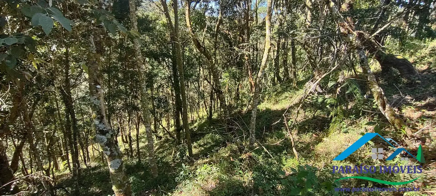 Foto 12 de Chácara à venda, 100000m2 em Centro, Goncalves - MG