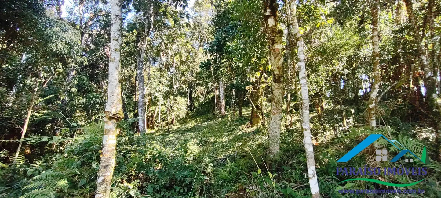 Foto 40 de Chácara à venda, 100000m2 em Centro, Goncalves - MG