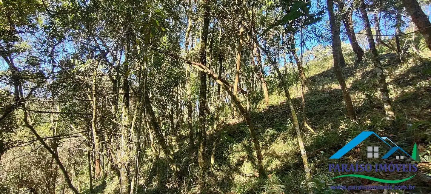 Foto 13 de Chácara à venda, 100000m2 em Centro, Goncalves - MG