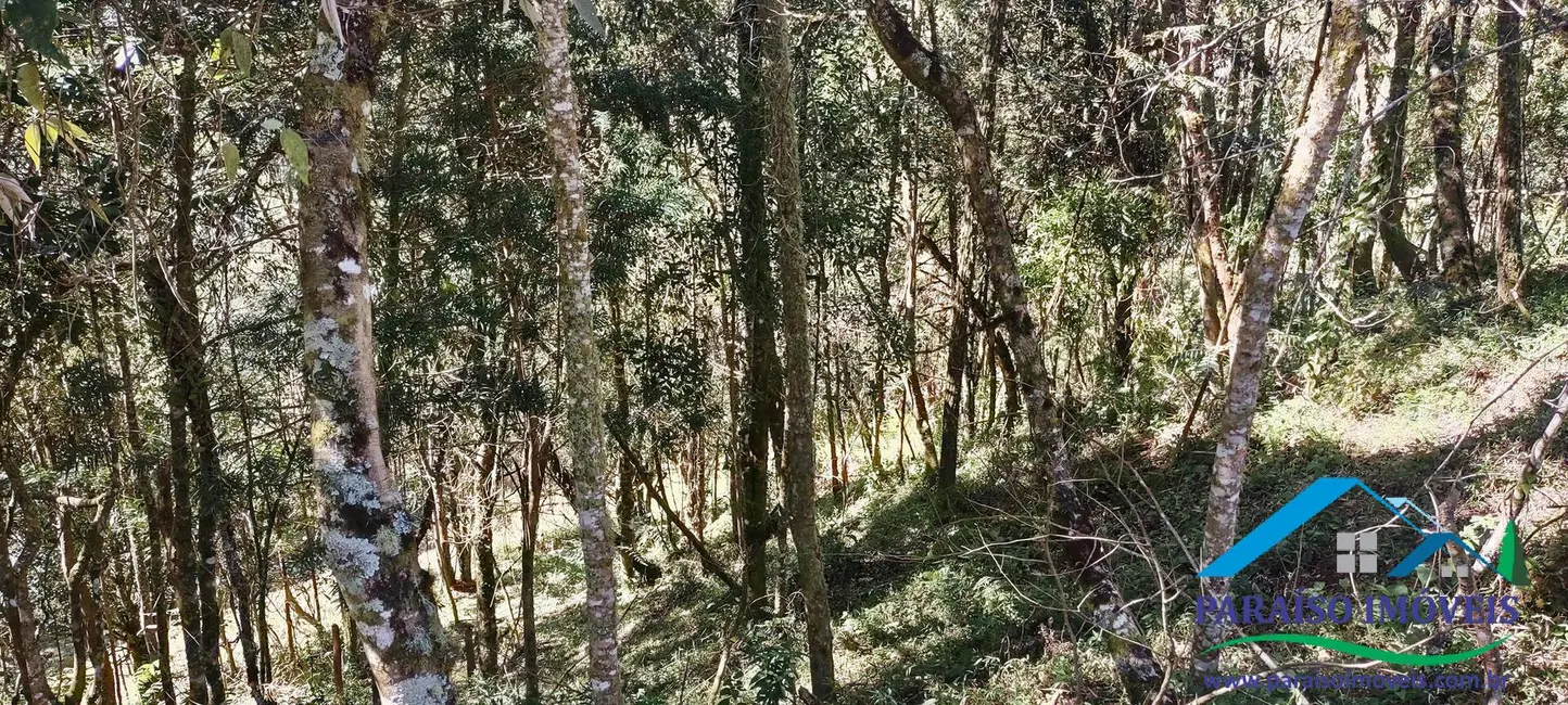 Foto 11 de Chácara à venda, 100000m2 em Centro, Goncalves - MG