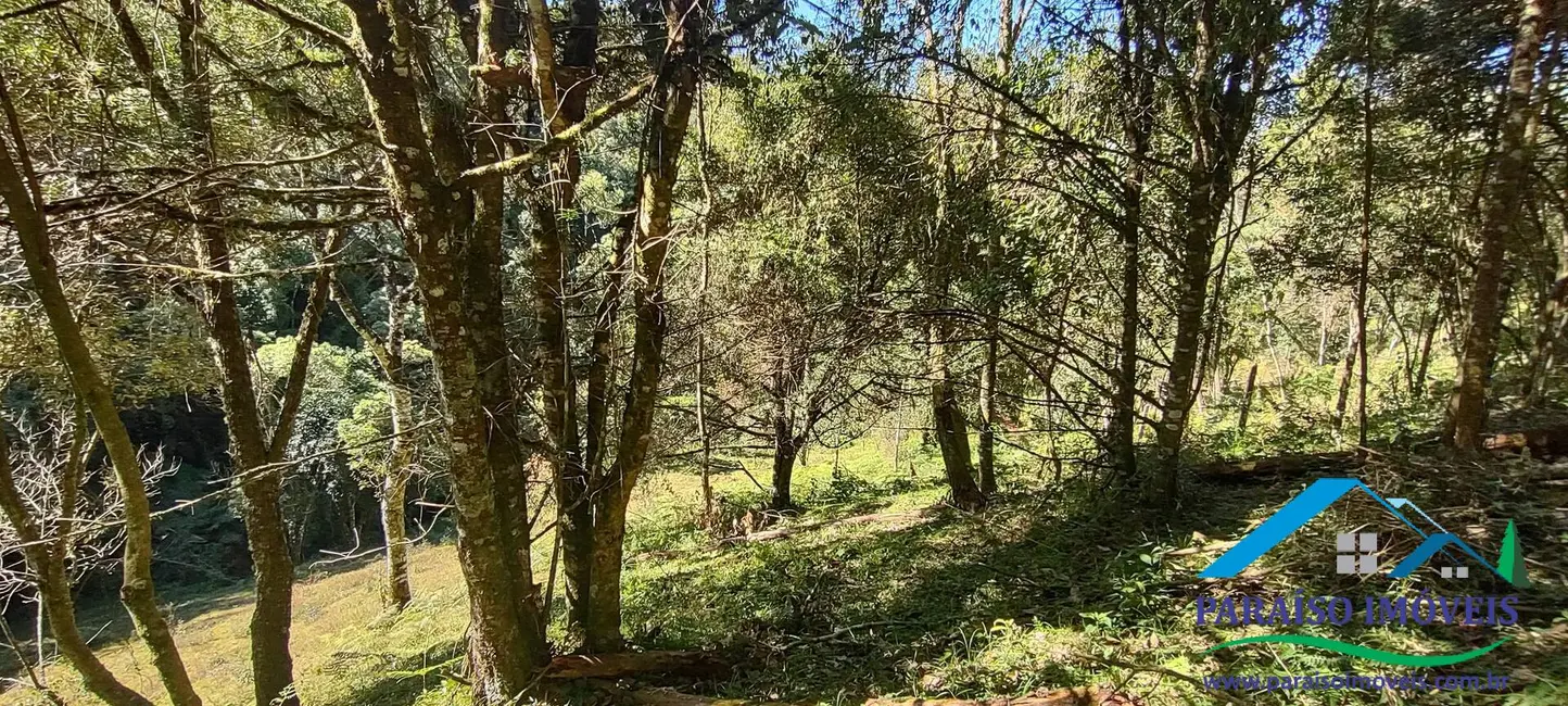Foto 14 de Chácara à venda, 100000m2 em Centro, Goncalves - MG