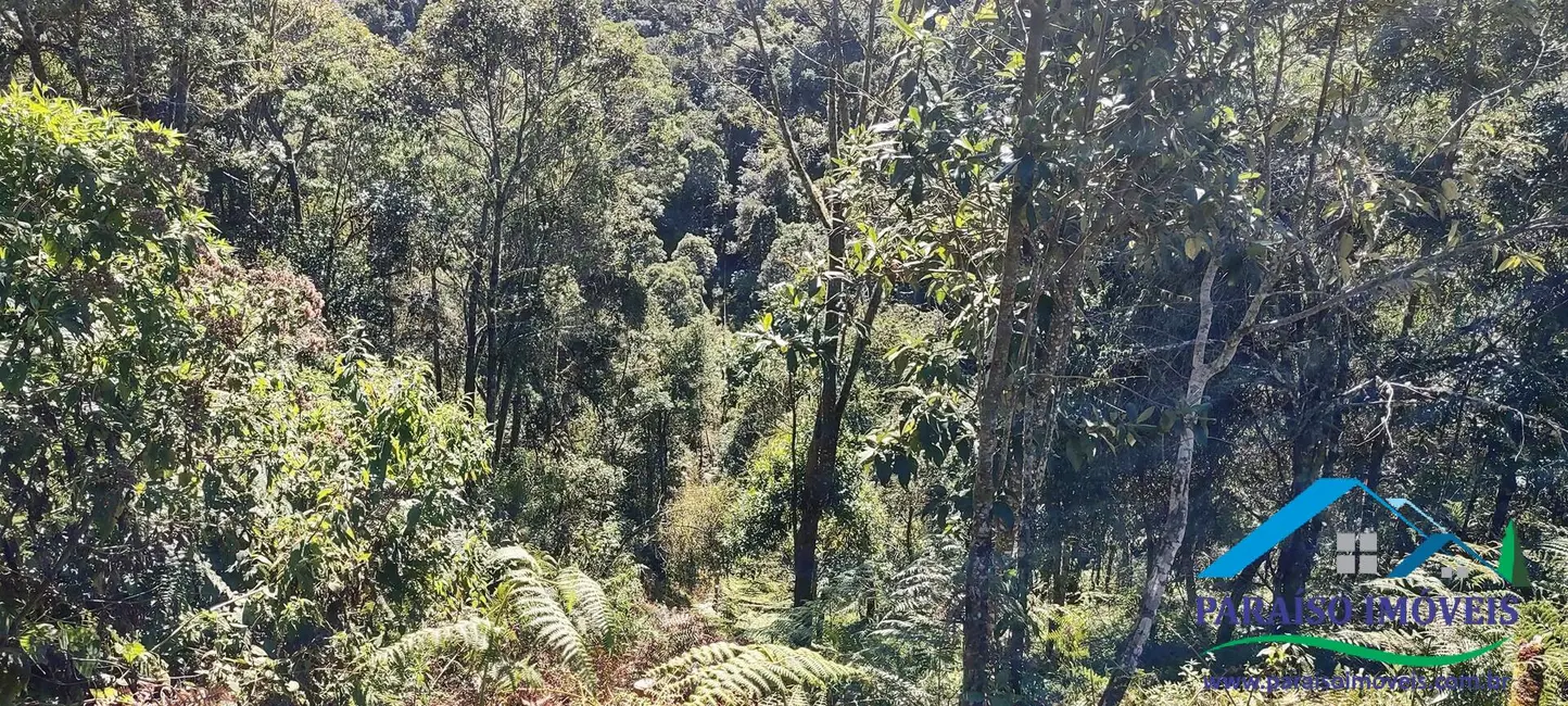 Foto 10 de Chácara à venda, 100000m2 em Centro, Goncalves - MG