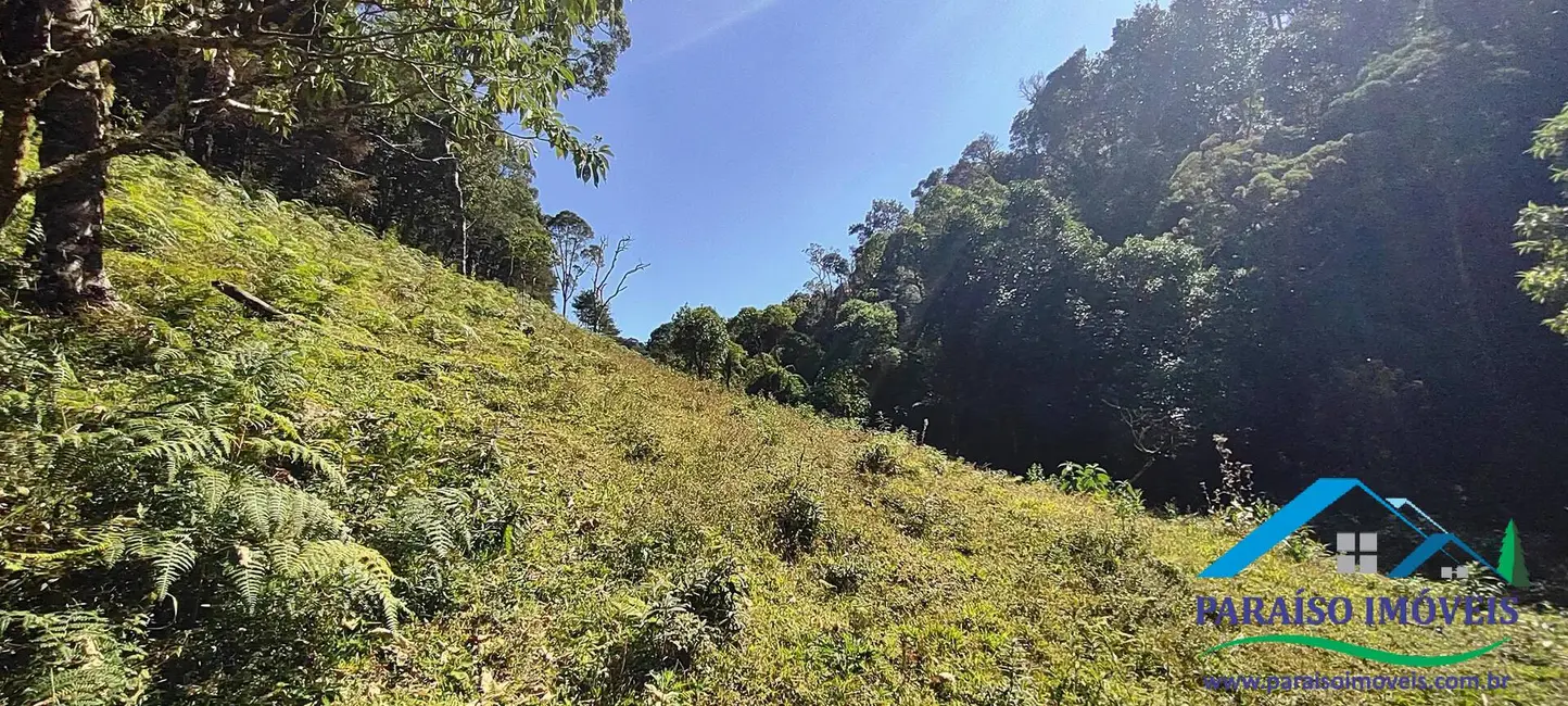 Foto 24 de Chácara à venda, 100000m2 em Centro, Goncalves - MG