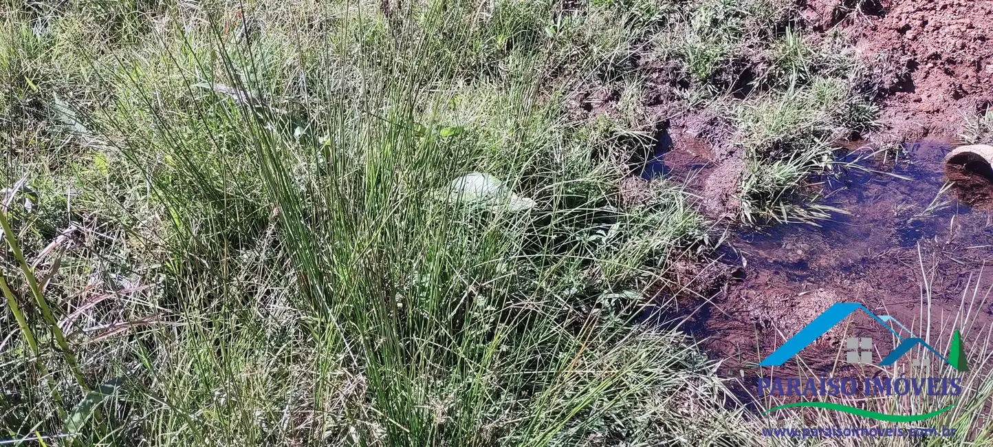 Foto 25 de Chácara à venda, 100000m2 em Centro, Goncalves - MG
