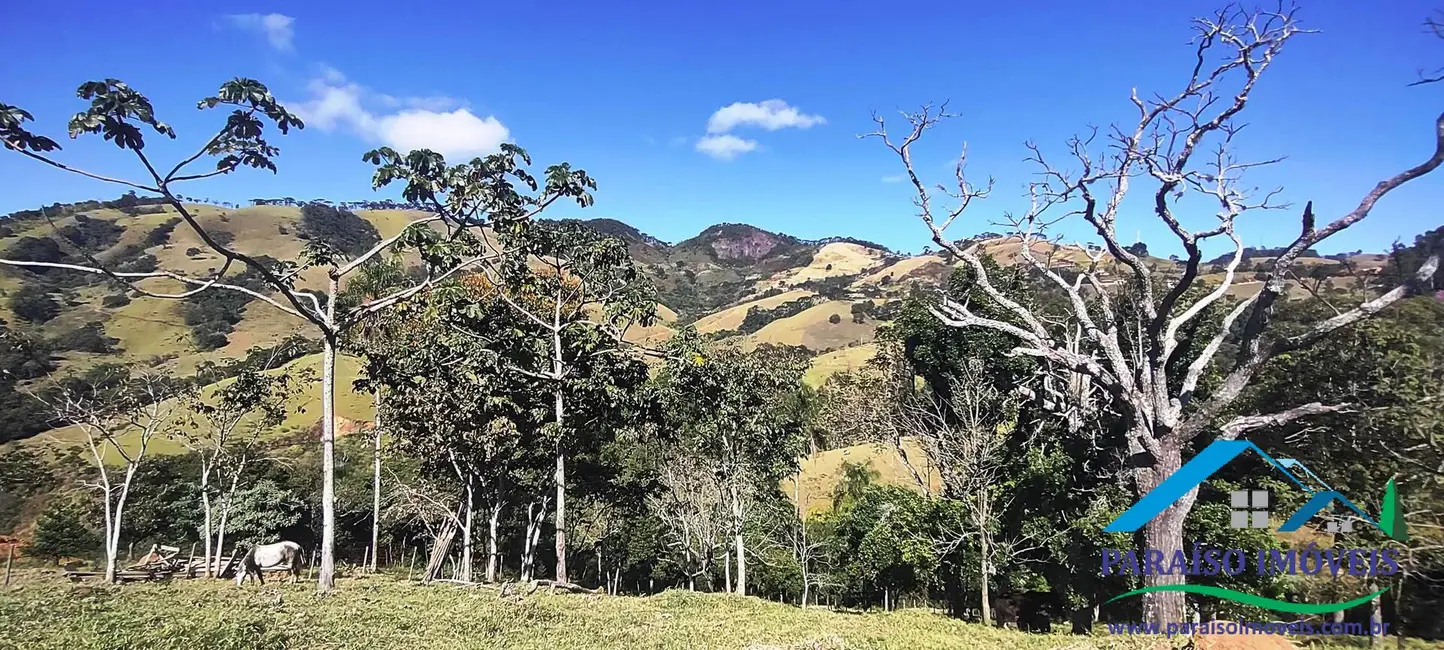 Foto 16 de Chácara à venda, 10000m2 em Centro, Goncalves - MG