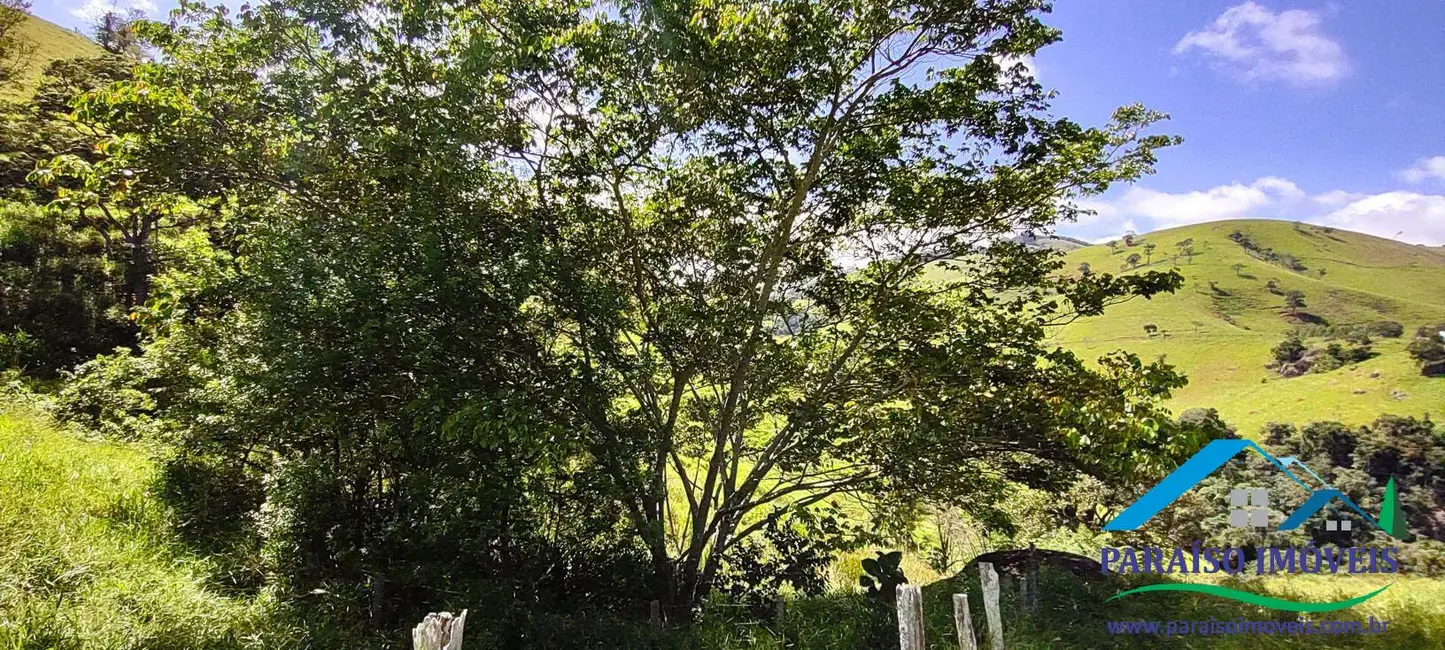 Chácara à venda, 20000m2 em Centro, Paraisopolis - MG - imagem 11 Foto 11 de Chácara à venda, 20000m2 em Centro, Paraisopolis - MG