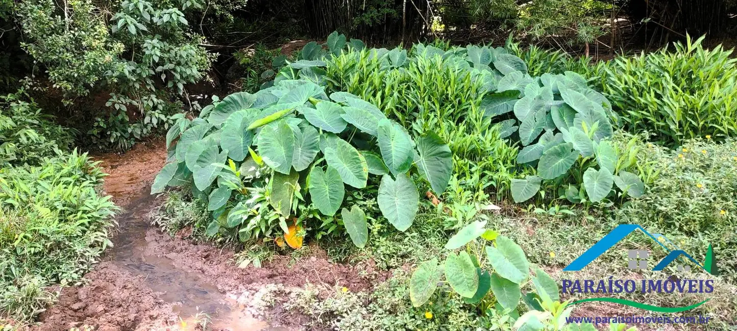 Chácara à venda, 21m2 em Centro, Paraisopolis - MG - imagem 9 Foto 9 de Chácara à venda, 21m2 em Centro, Paraisopolis - MG