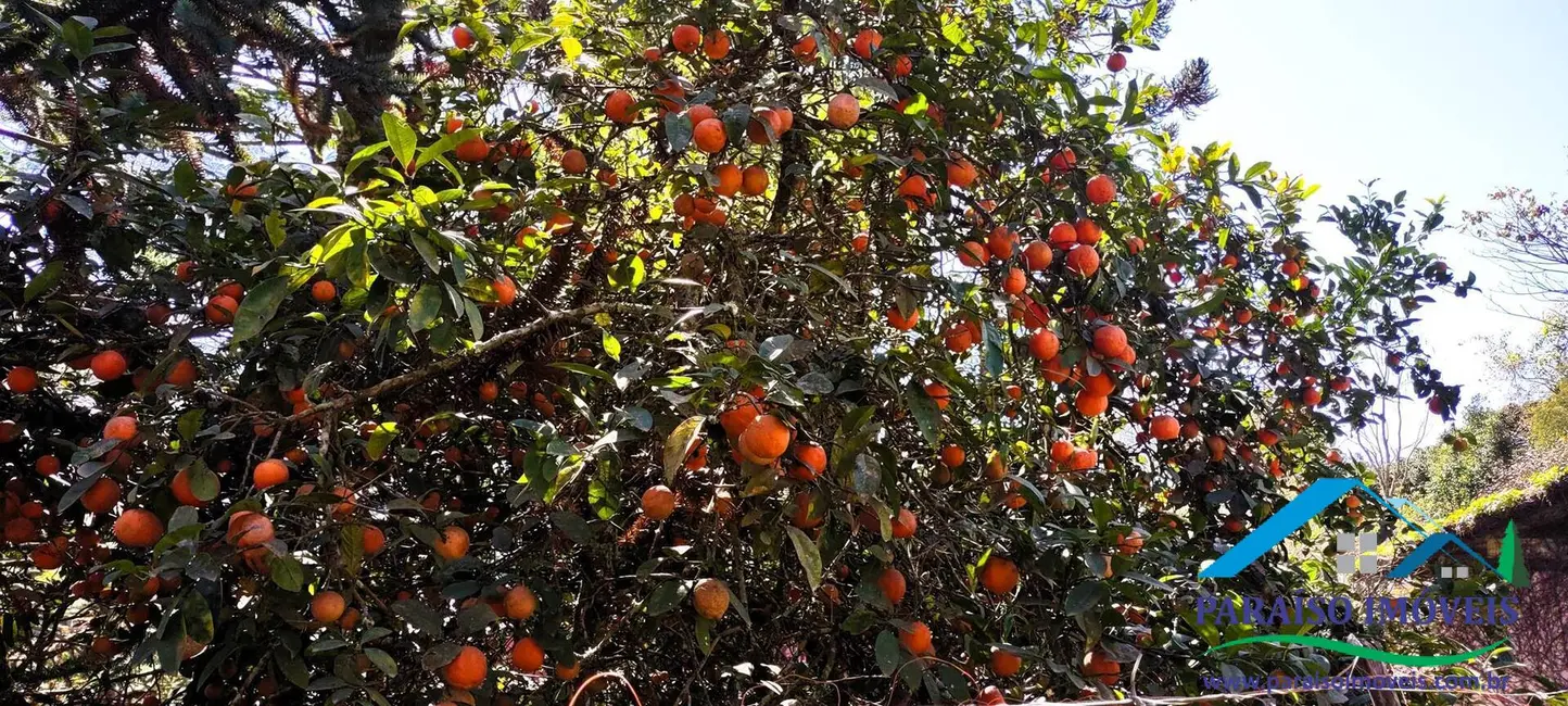 Foto 7 de Chácara com 2 quartos à venda, 34000m2 em Centro, Goncalves - MG