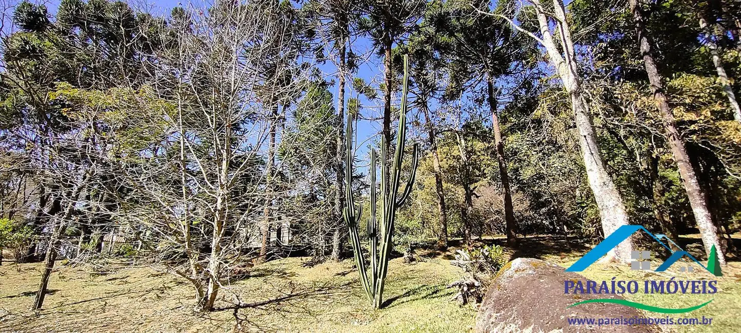 Foto 9 de Chácara com 2 quartos à venda, 34000m2 em Centro, Goncalves - MG