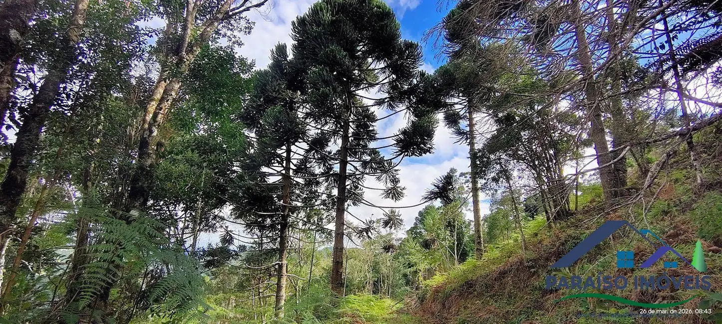 Foto 25 de Chácara à venda, 49281m2 em Centro, Goncalves - MG