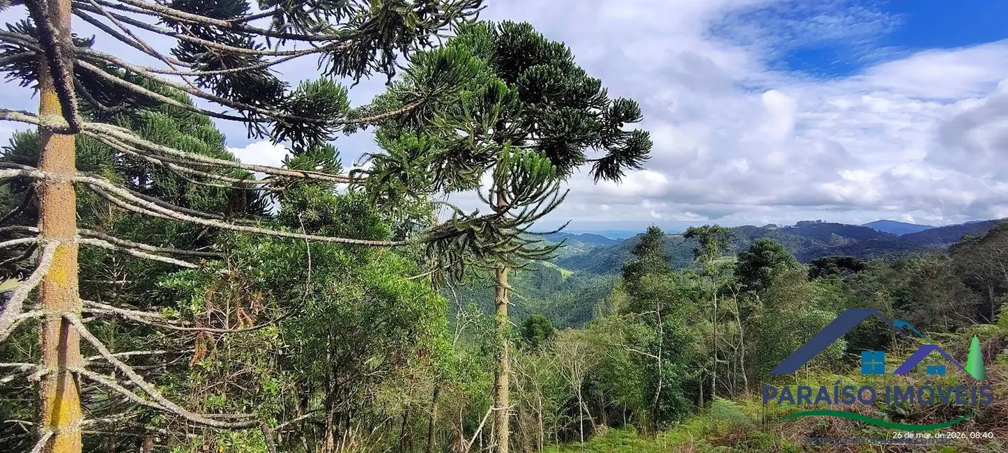 Foto 21 de Chácara à venda, 49281m2 em Centro, Goncalves - MG