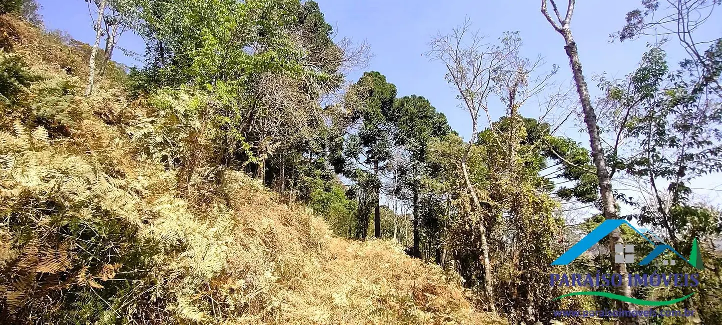 Foto 24 de Chácara à venda, 49281m2 em Centro, Goncalves - MG