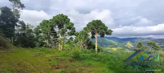 Imagem 5