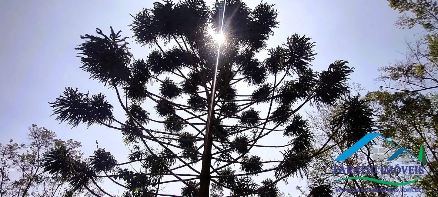 Foto 37 de Chácara à venda, 49281m2 em Centro, Goncalves - MG