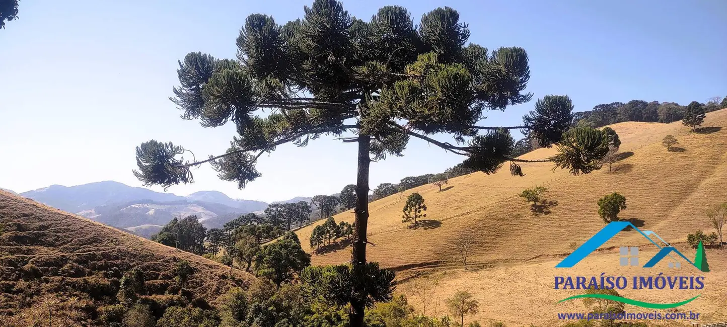Foto 1 de Chácara à venda, 20000m2 em Centro, Goncalves - MG