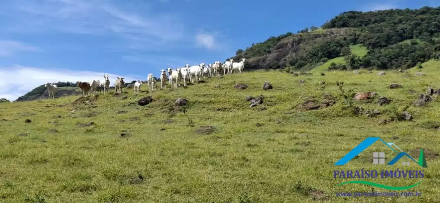 Chácara à venda, 26m2 em Centro, Paraisopolis - MG - imagem 43 Foto 43 de Chácara à venda, 26m2 em Centro, Paraisopolis - MG