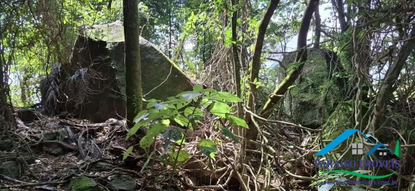 Chácara à venda, 26m2 em Centro, Paraisopolis - MG - imagem 23 Foto 23 de Chácara à venda, 26m2 em Centro, Paraisopolis - MG