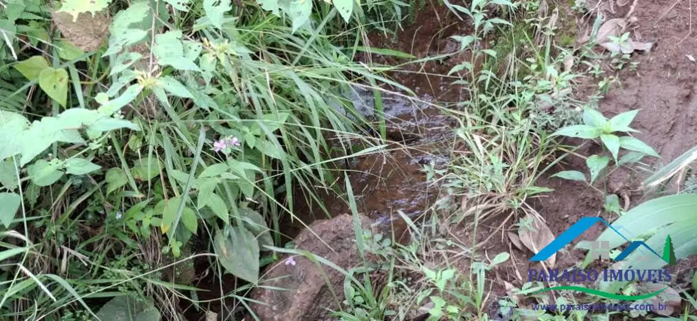 Chácara à venda, 26m2 em Centro, Paraisopolis - MG - imagem 16 Foto 16 de Chácara à venda, 26m2 em Centro, Paraisopolis - MG