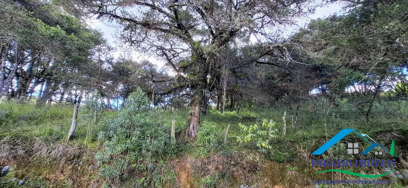 Chácara à venda, 36000m2 em Centro, Paraisopolis - MG - imagem 47 Foto 47 de Chácara à venda, 36000m2 em Centro, Paraisopolis - MG