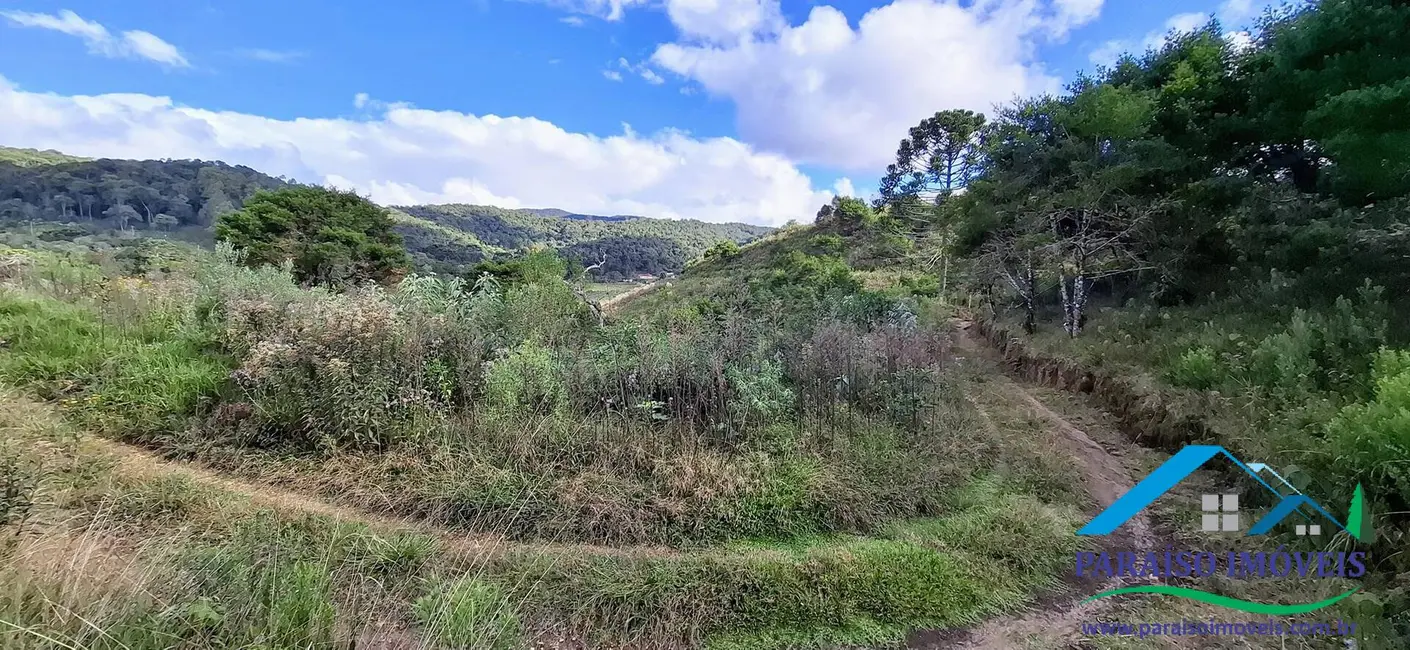 Chácara à venda, 36000m2 em Centro, Paraisopolis - MG - imagem 41 Foto 41 de Chácara à venda, 36000m2 em Centro, Paraisopolis - MG