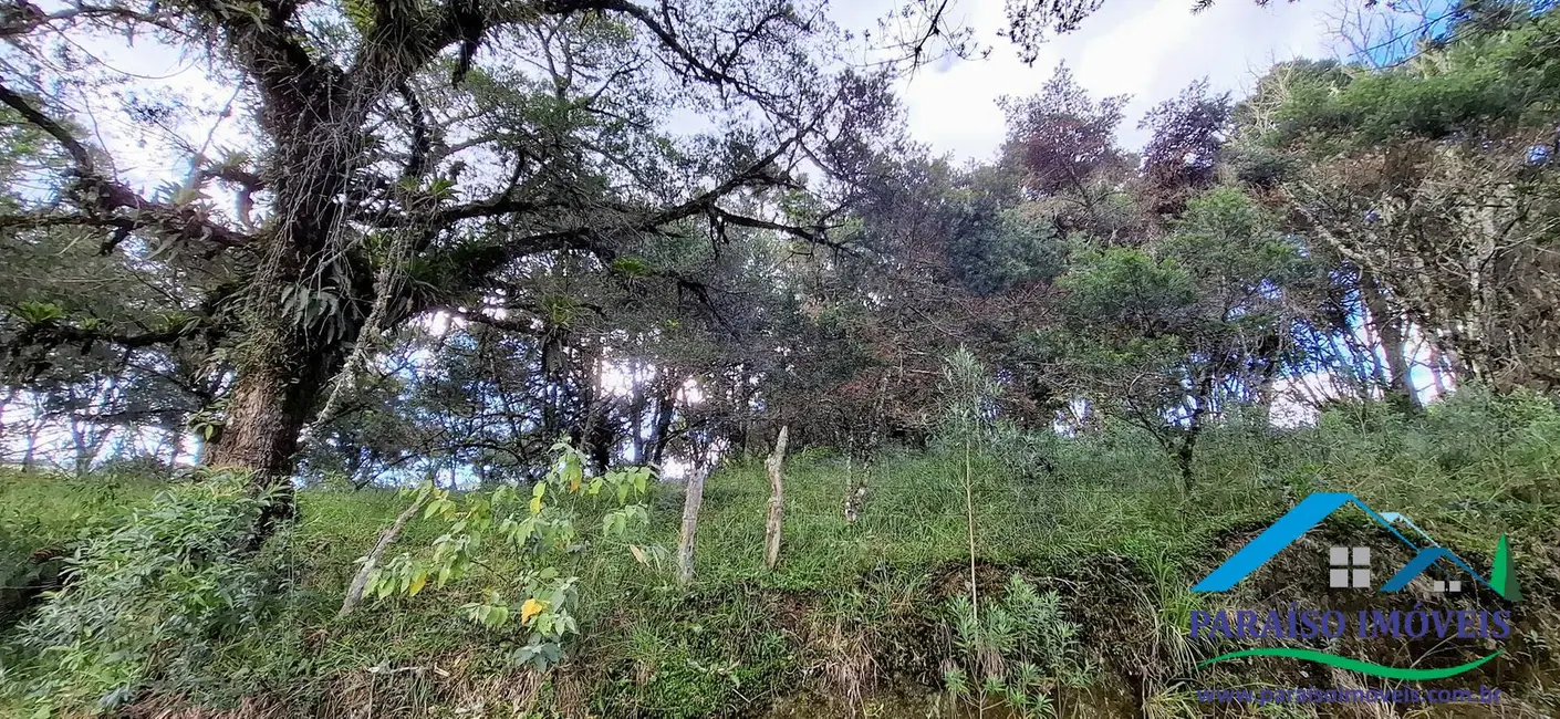 Chácara à venda, 36000m2 em Centro, Paraisopolis - MG - imagem 48 Foto 48 de Chácara à venda, 36000m2 em Centro, Paraisopolis - MG