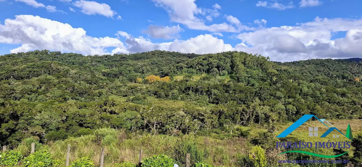 Chácara à venda, 20000m2 em Centro, Paraisopolis - MG - imagem 6 Foto 6 de Chácara à venda, 20000m2 em Centro, Paraisopolis - MG