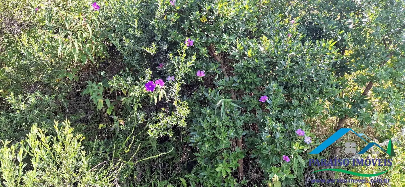 Foto 32 de Chácara à venda, 72600m2 em Centro, Goncalves - MG