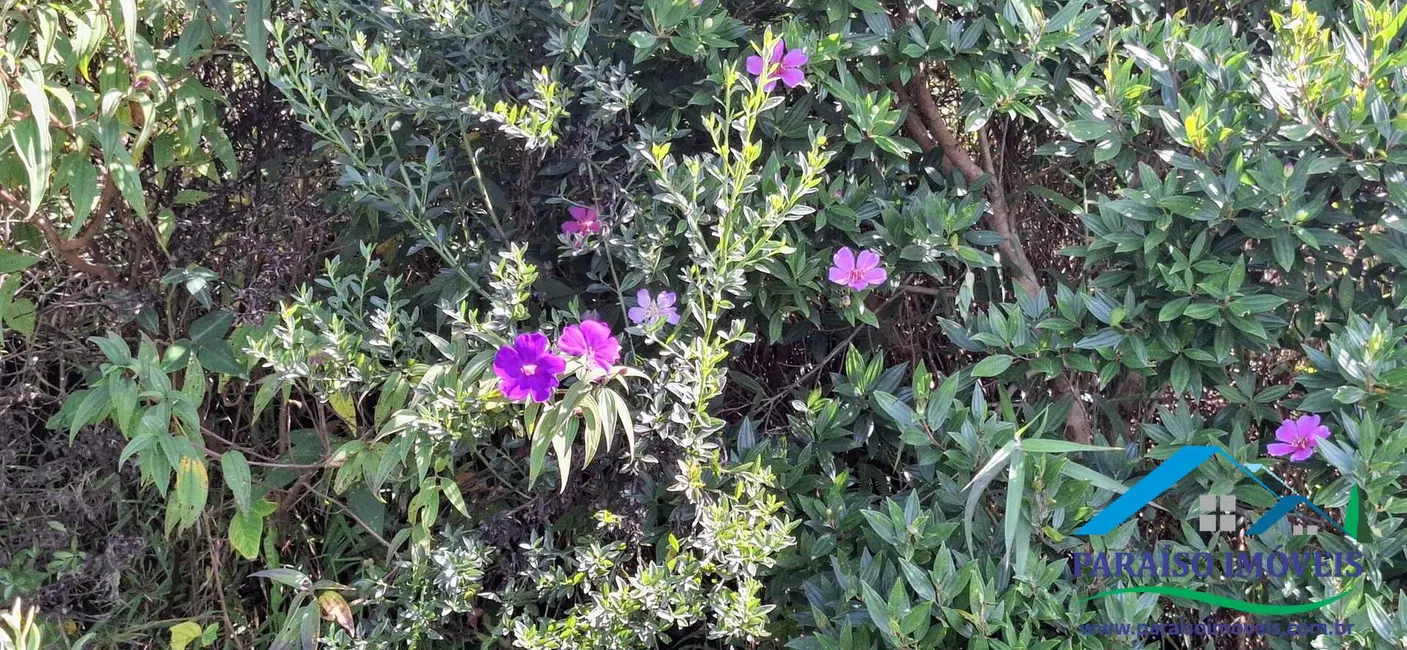 Foto 34 de Chácara à venda, 72600m2 em Centro, Goncalves - MG