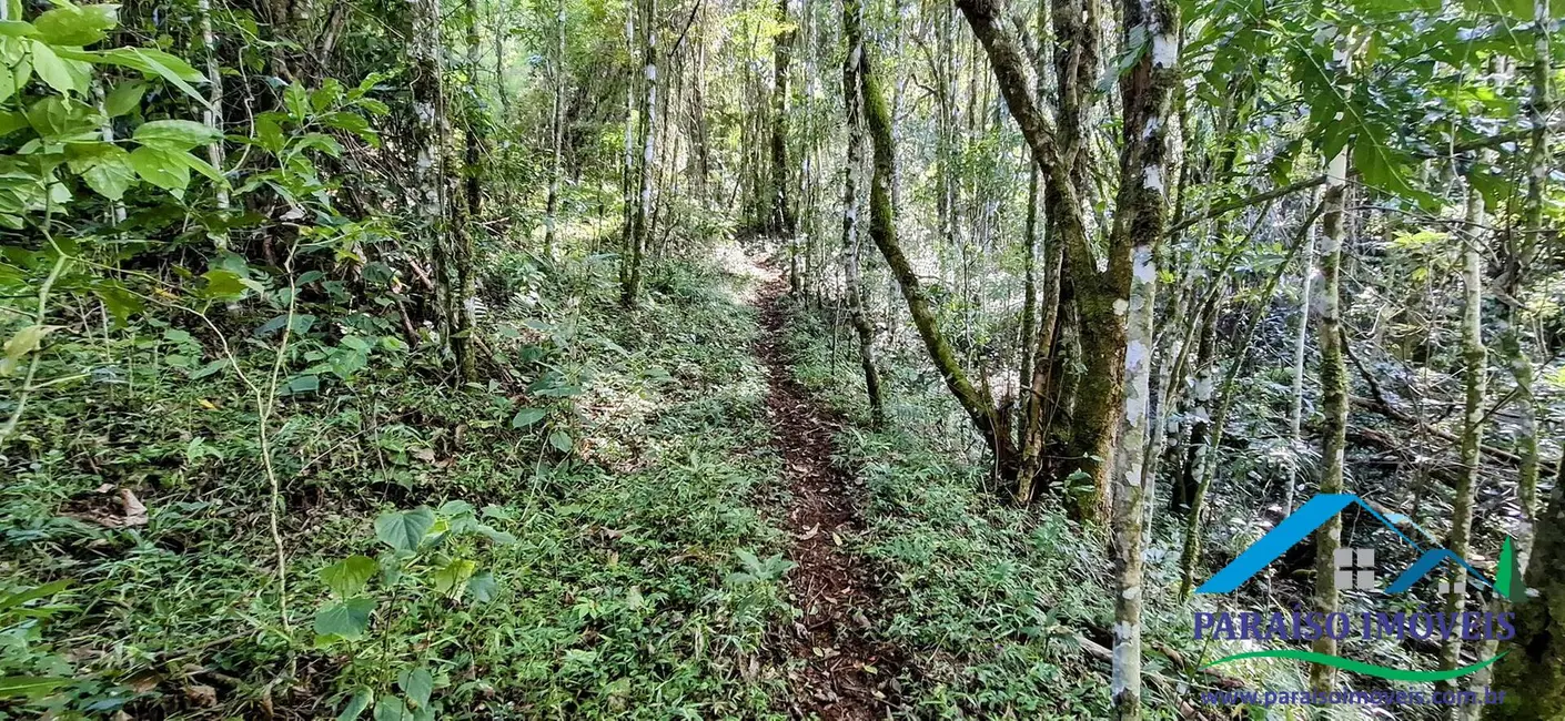 Foto 46 de Chácara à venda, 72600m2 em Centro, Goncalves - MG