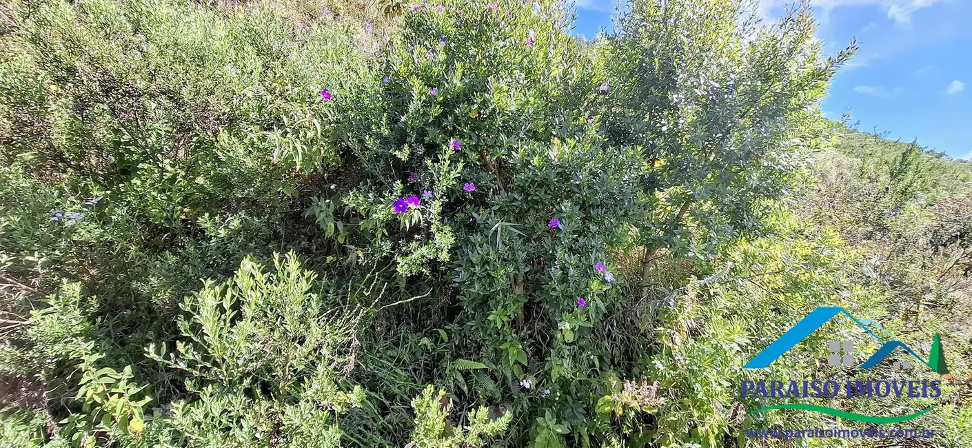 Foto 33 de Chácara à venda, 72600m2 em Centro, Goncalves - MG