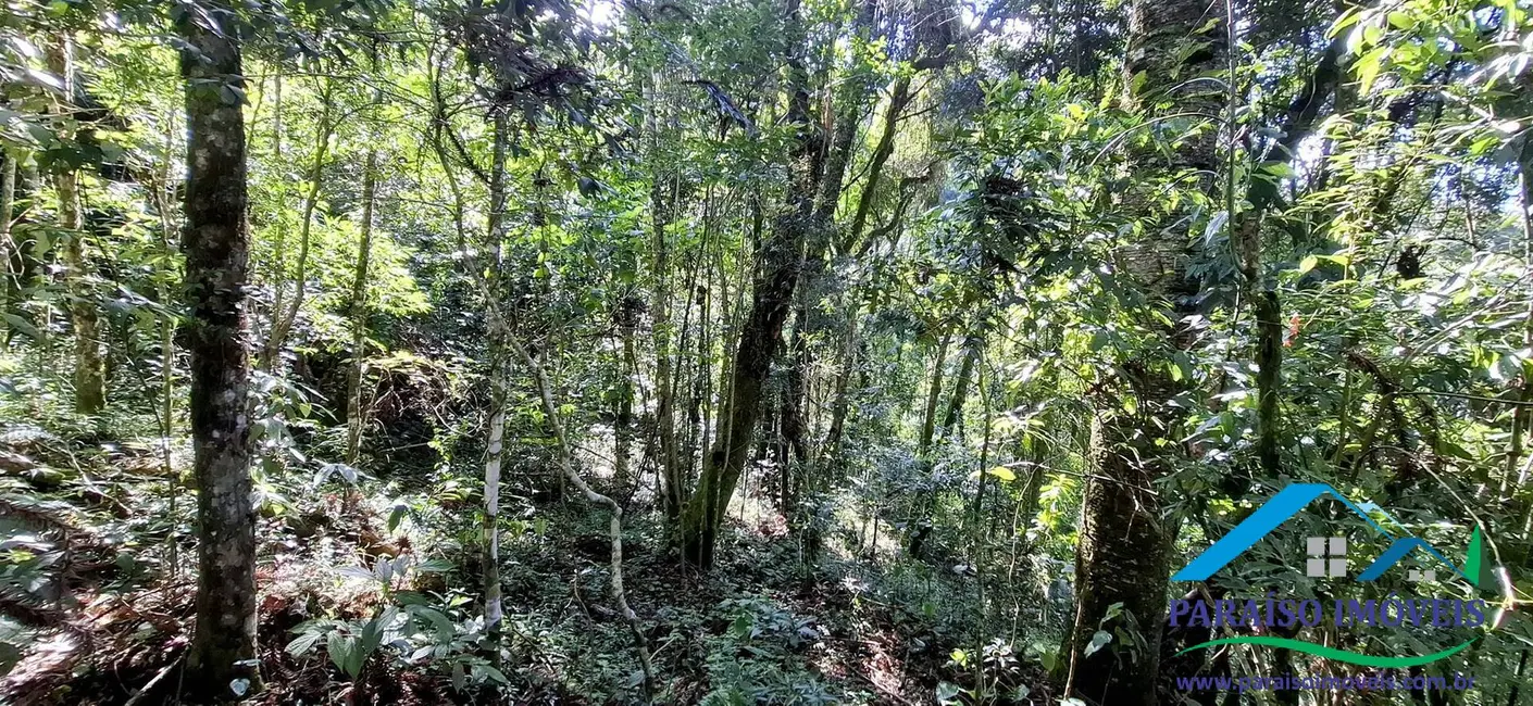 Foto 45 de Chácara à venda, 72600m2 em Centro, Goncalves - MG