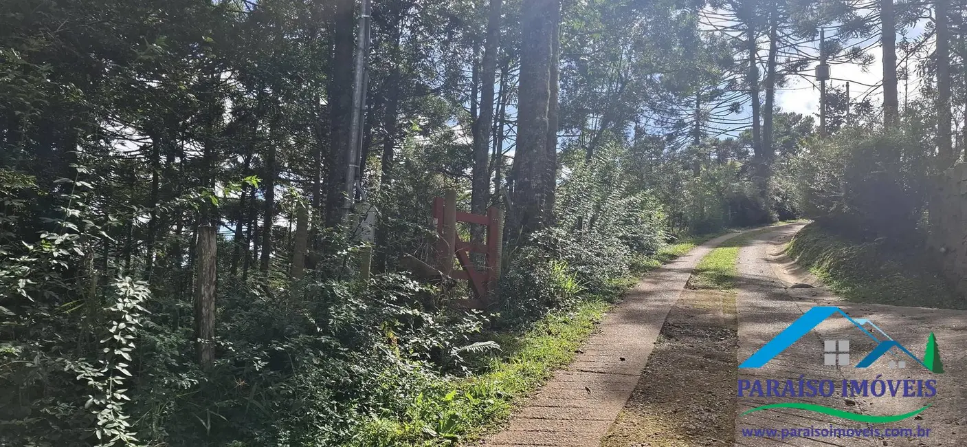 Foto 2 de Terreno / Lote à venda, 2000m2 em Centro, Goncalves - MG