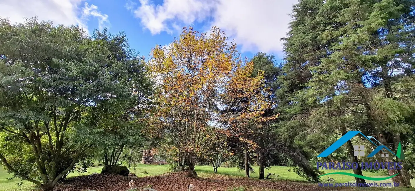Foto 6 de Chácara com 3 quartos à venda, 350m2 em Centro, Goncalves - MG