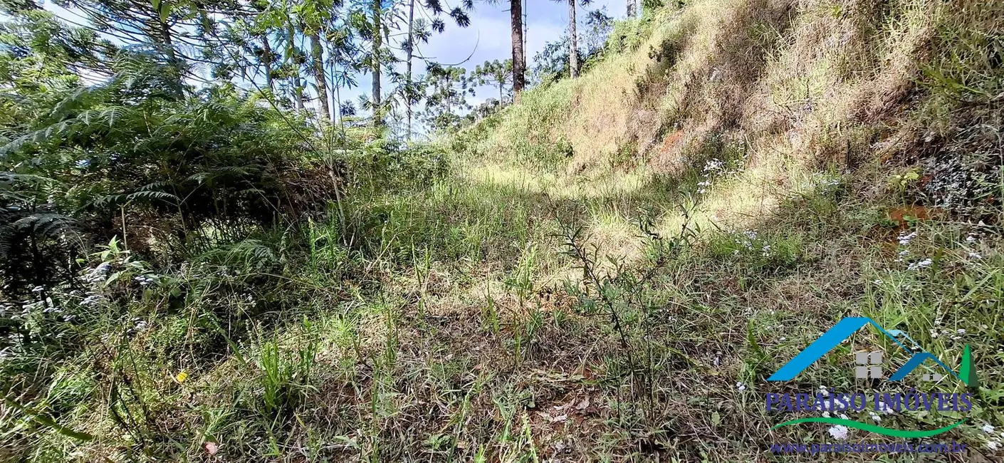 Terreno / Lote à venda, 5000m2 em Centro, Goncalves - MG - imagem 8 Foto 8 de Terreno / Lote à venda, 5000m2 em Centro, Goncalves - MG