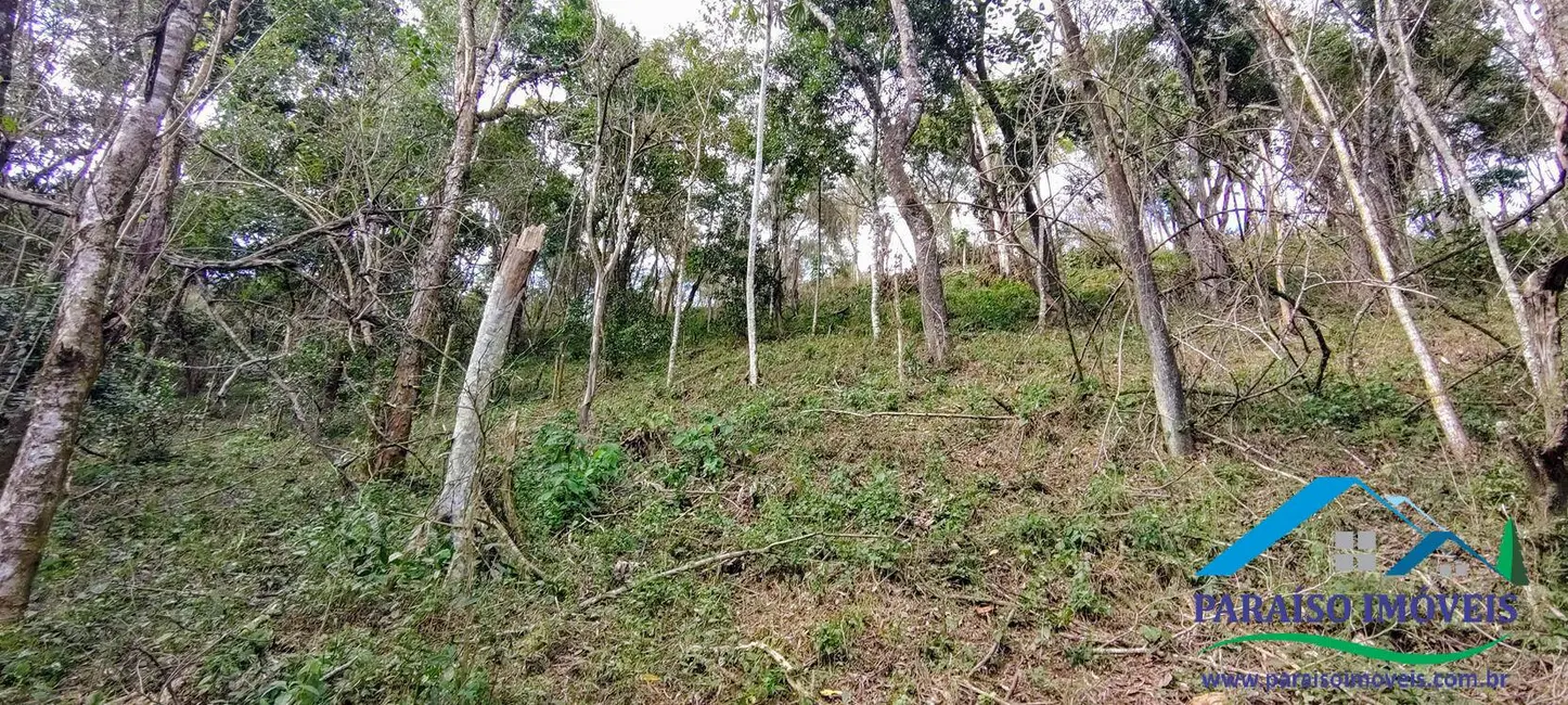 Foto 27 de Chácara à venda, 90000m2 em Centro, Consolacao - MG
